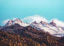 u8官网.u8登录-中国电信永州分公司：以“永冲锋”精神护航CMG群众足球邀请赛