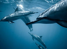 u8官网.u8登录-中国男篮世预赛集锦混剪，希望他们未来越打越好